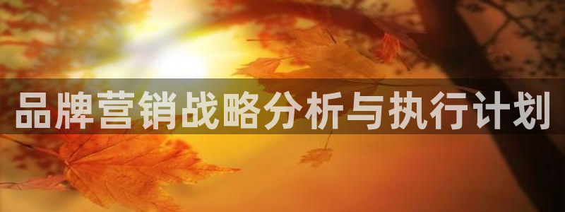 必赢手机app下载
