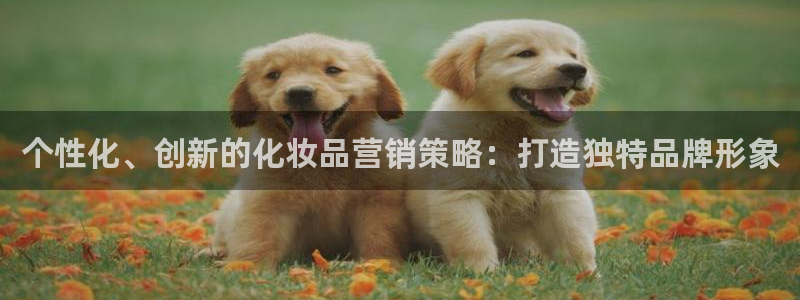 必赢国际游戏技巧