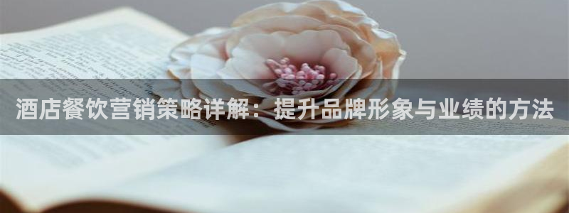 必赢网址手机主页打不开