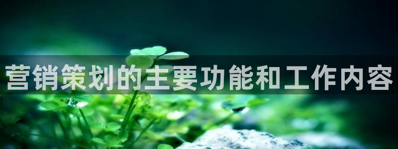 必赢网址手机主页