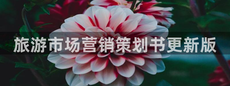 必赢官网app下载安装苹果