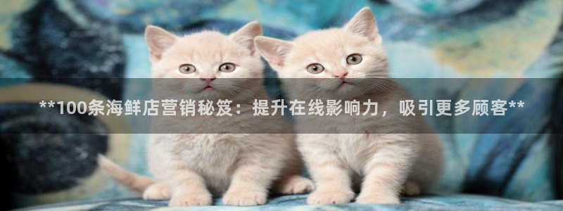 必赢棋盘官网版