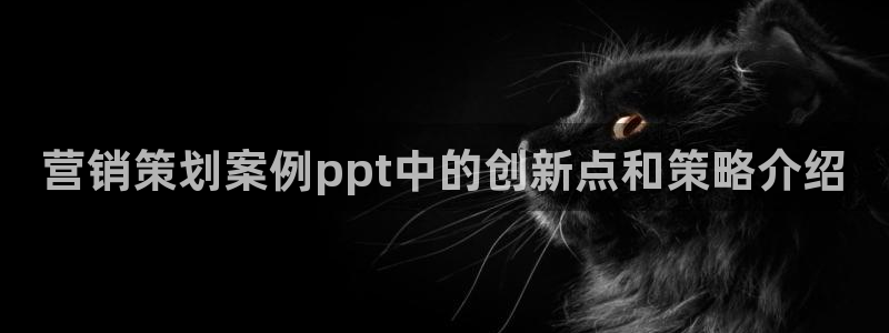 必赢qp