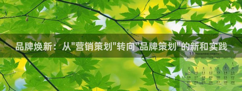 9965必赢游戏特色