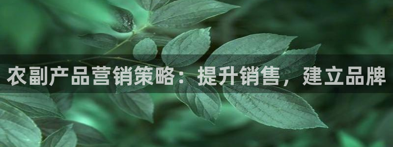 必赢国际437官方介绍