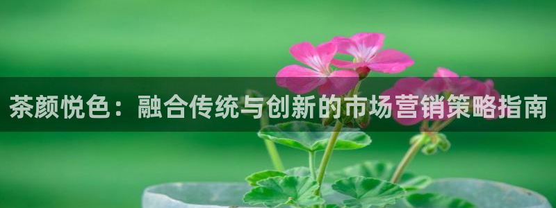 必赢棋盘app下载