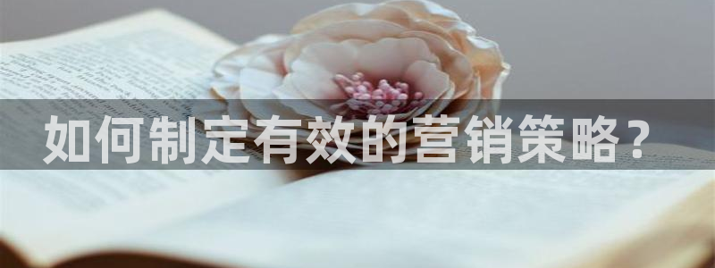 必赢国际437网页版