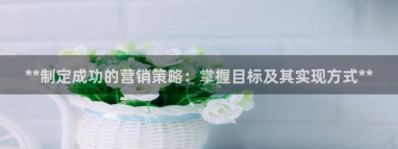 必赢网站是哪一个