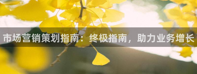 73882必赢app下载