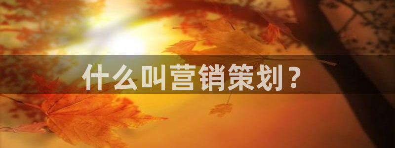 必赢网址手机主页怎么设置