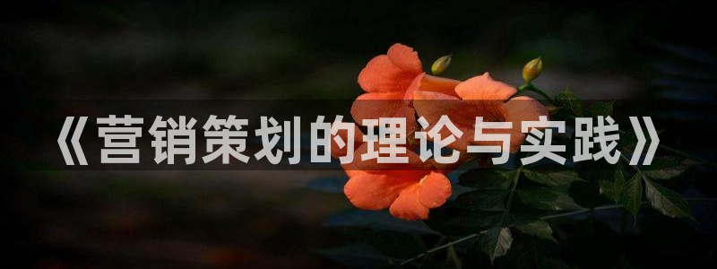 必赢线上网址是什么