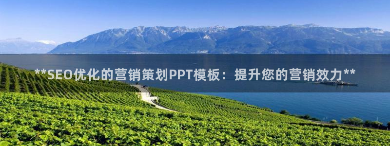 必赢516net怎么进