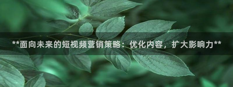 必赢437官网