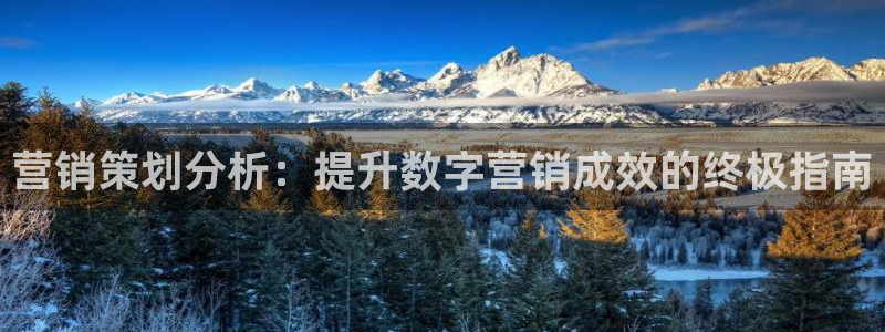 数30技巧必赢三个数