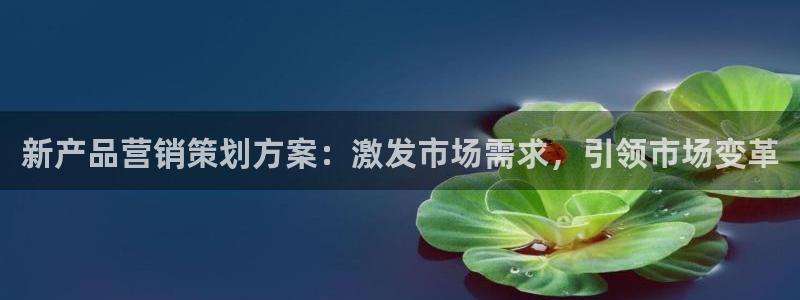 必赢国际技巧