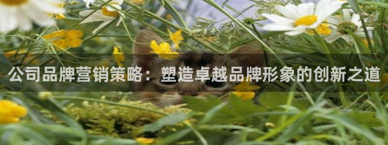 必赢网址手机主页怎么设置