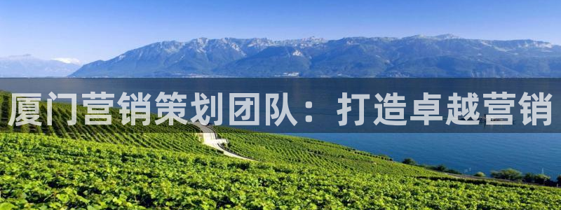 必赢棋盘app下载官网
