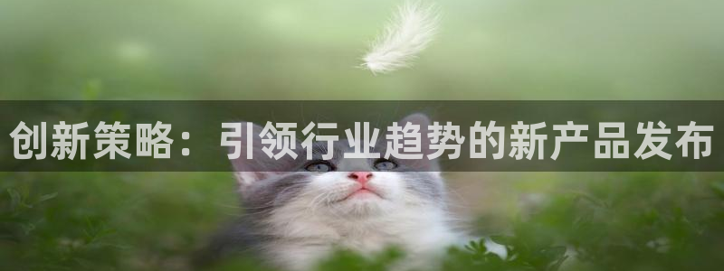必赢这个软件怎么样可靠吗