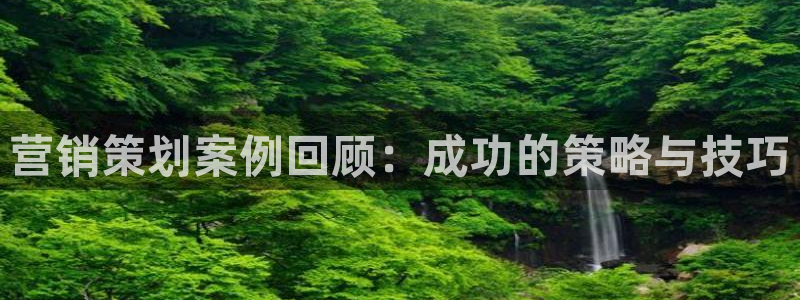 必赢宝app软件下载