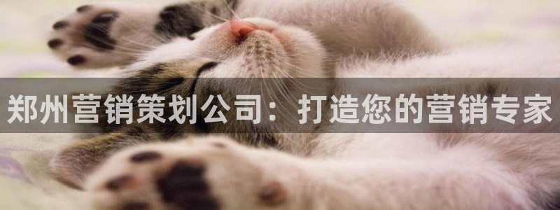 必赢下载地址