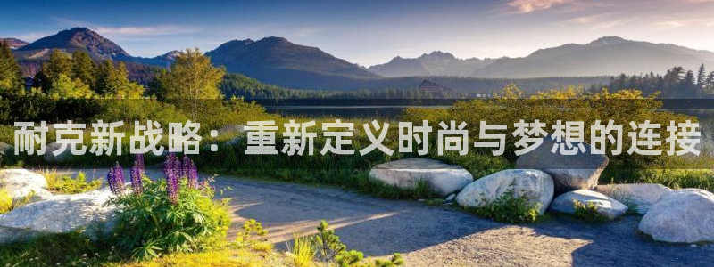 必赢线上网址