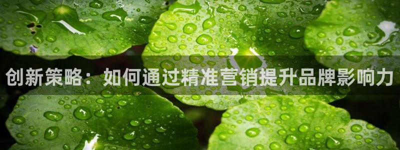 必赢565net官网