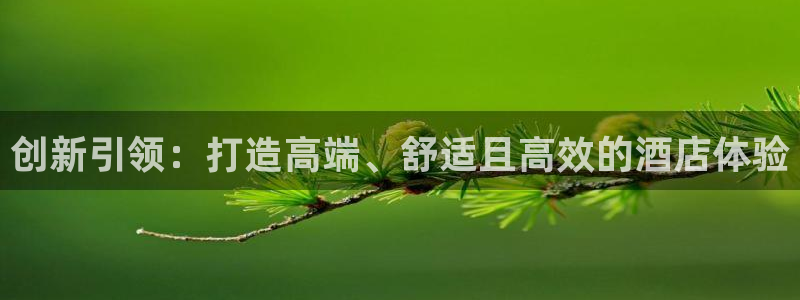 必赢最新网页