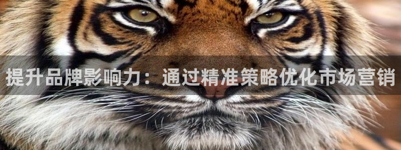 必赢最新网页