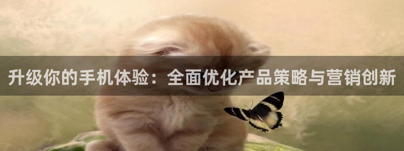 必赢72882网址：升级你的手