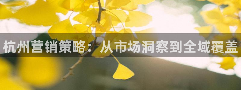 必赢官网入口下载app：杭州营