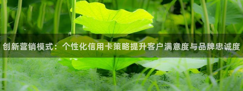必赢官网app下载安装最新版本