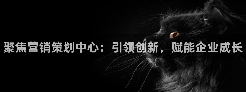 必赢手机app下载抢红包
