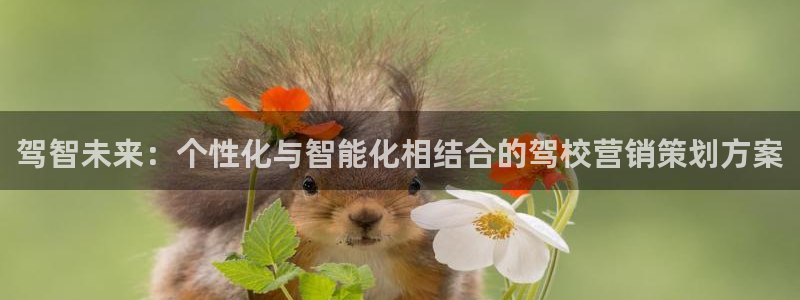 必赢官网下载
