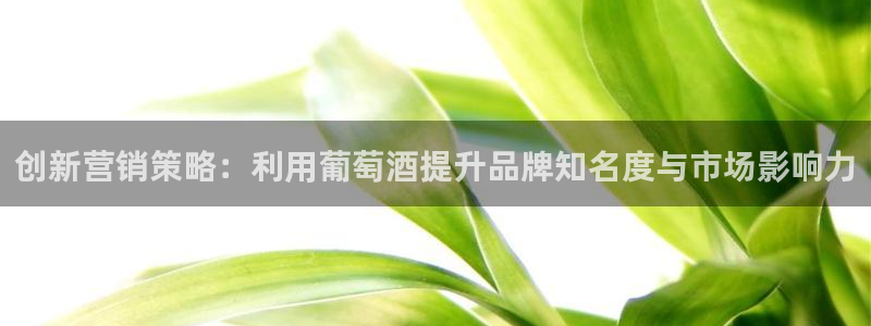 必赢官网网站