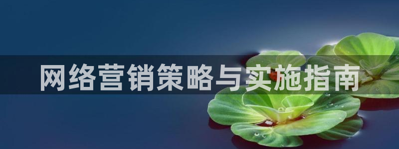 必赢国际437网页版