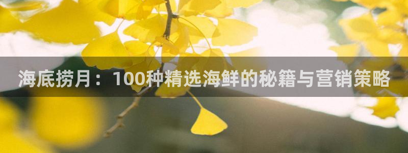 必赢国际技巧