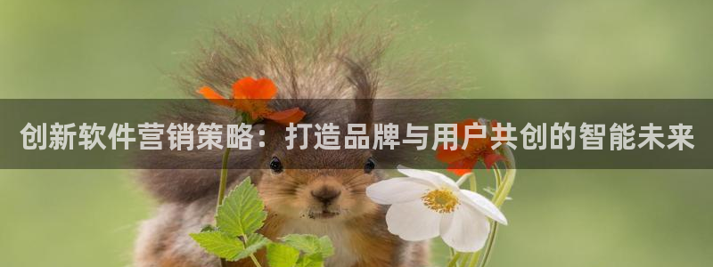 必赢网站是多少啊