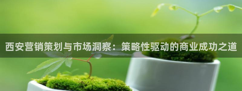 必赢集团网站是什么