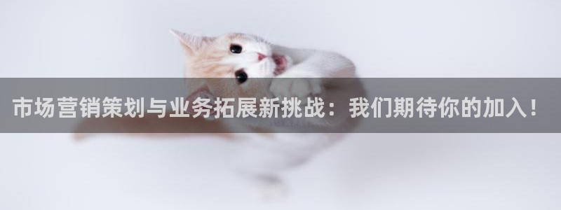 必赢手机app下载 最新版本