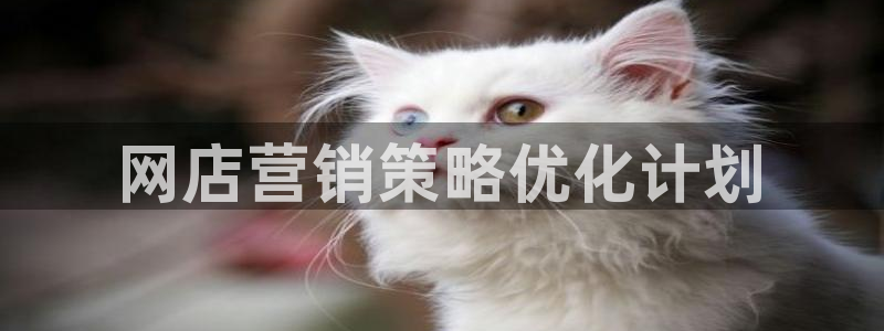 必赢网站平台登录