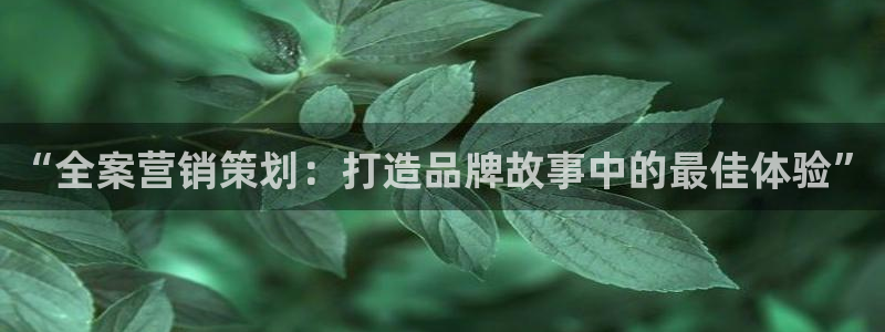 必赢官网网址多少号登录入口