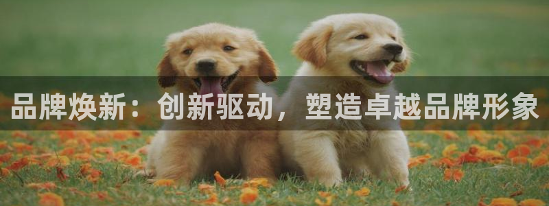 必赢网址手机主页