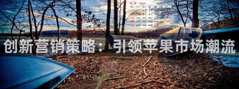 必赢科技北京有限公司